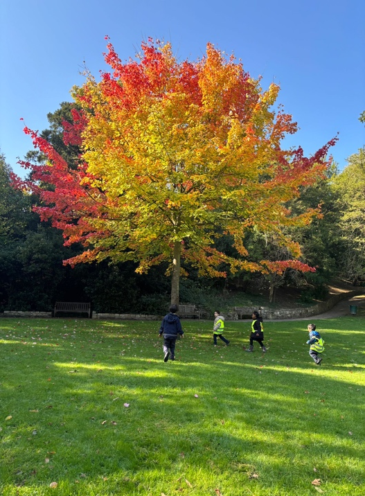 A group of people running in a park

Description automatically generated