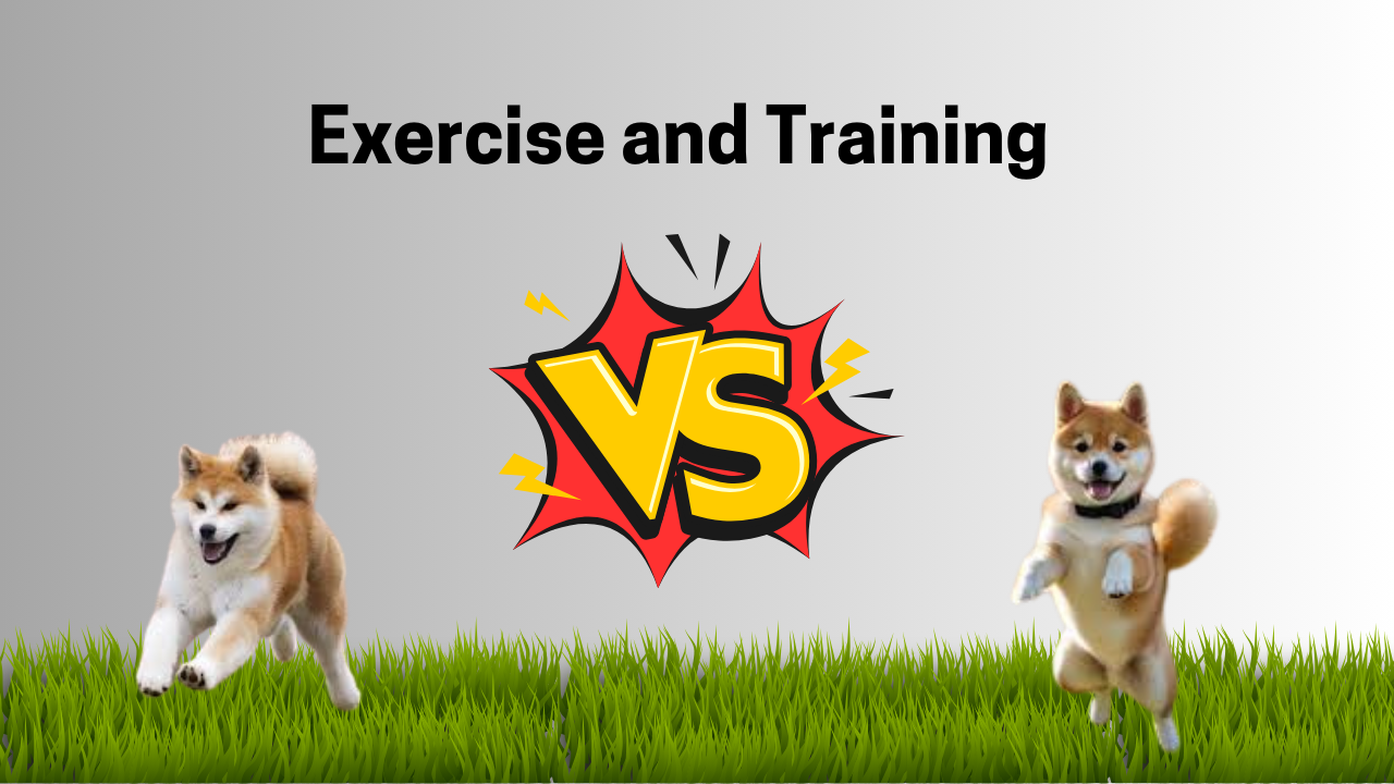 Exercise and Training