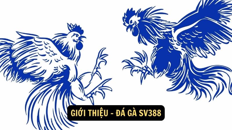 Giới thiệu - đá gà sv388