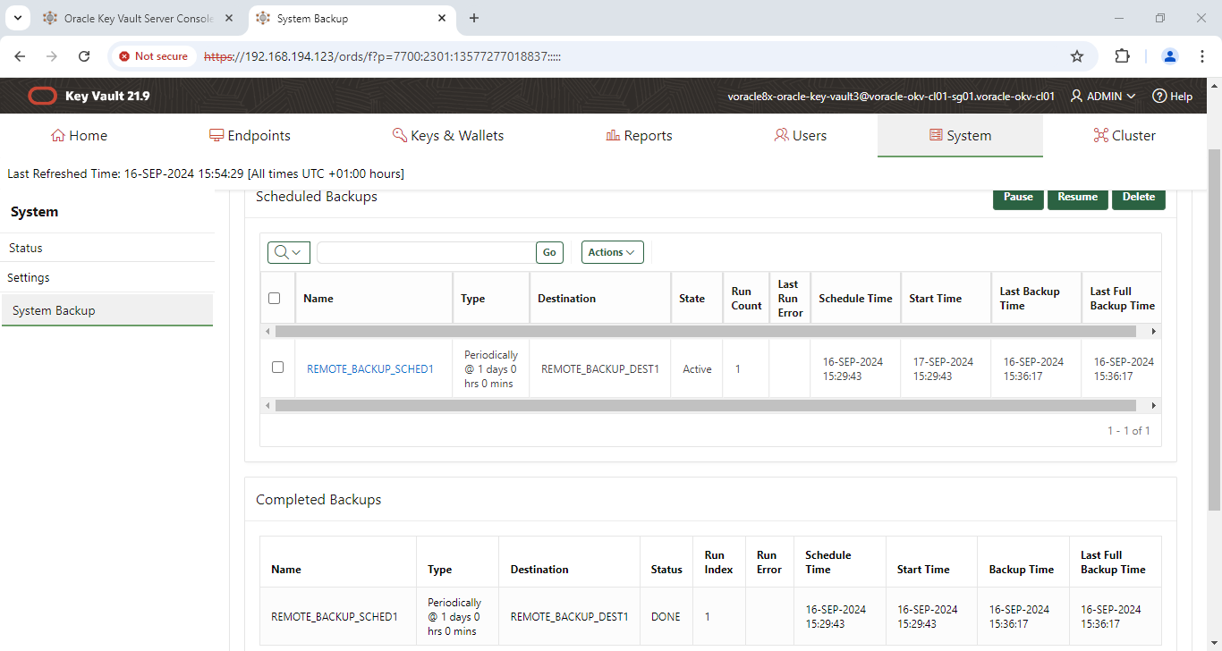 System Backup - Google Chrome