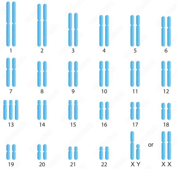 BÀI 6: ĐỘT BIẾN NHIỄM SẮC THỂ