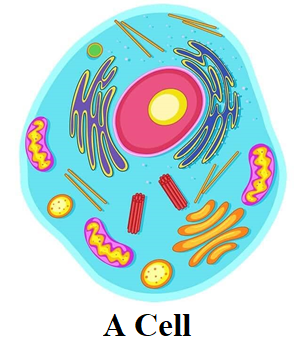 A picture containing text, vector graphics

Description automatically generated