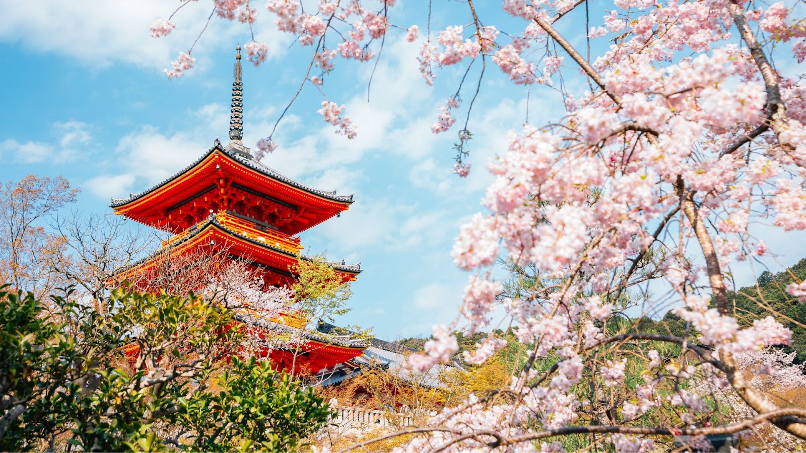 places to visit in november: japan
