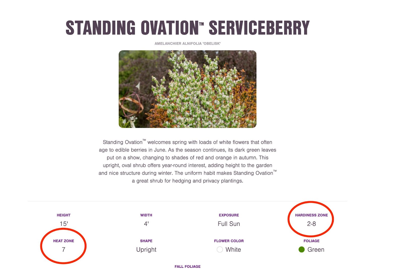 a screenshot showing the hardiness zone for a standing ovation plant