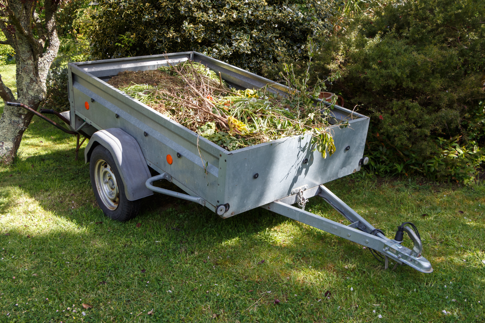 déchets végétaux