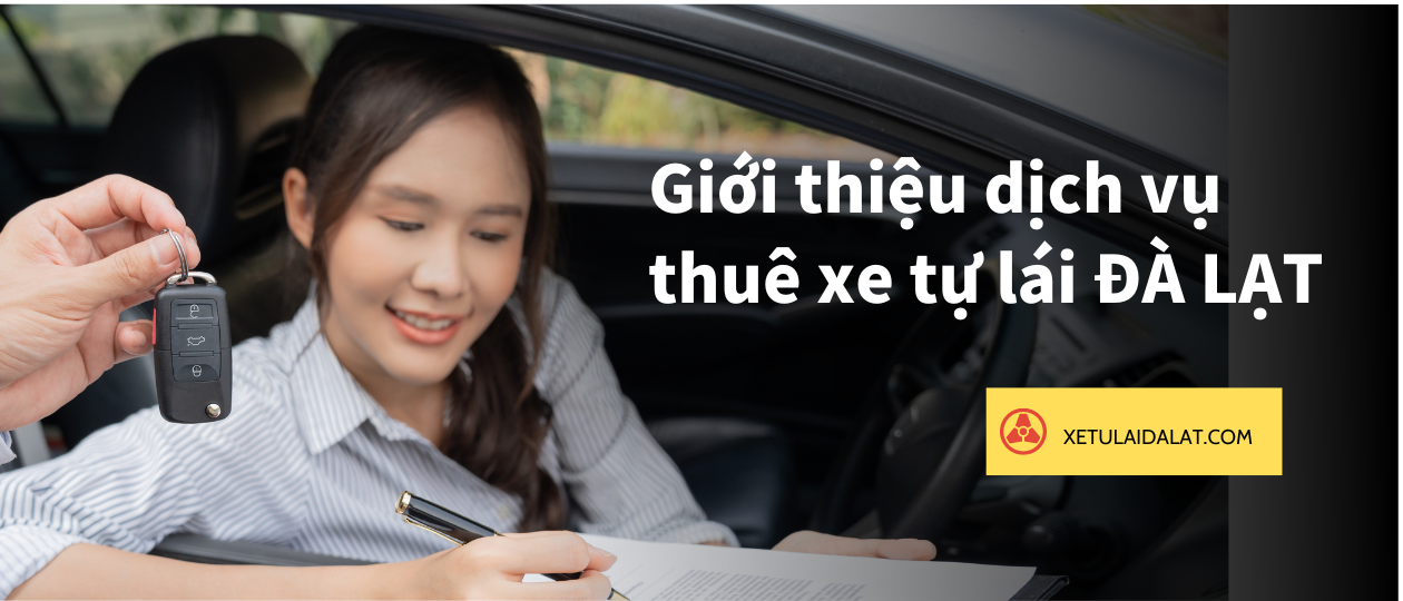 Đồi chè Cầu Đất – Khám phá thiên nhiên và trải nghiệm thư giãn tuyệt vời