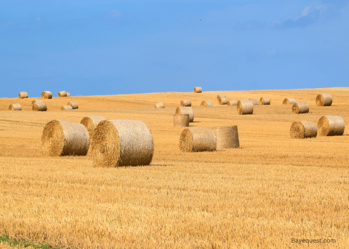 Are Hay Bales the Same?