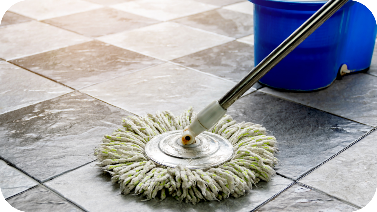 Maintenance and Longevity Tips