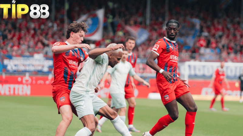Lịch sử đối đầu Heidenheim vs Elversberg