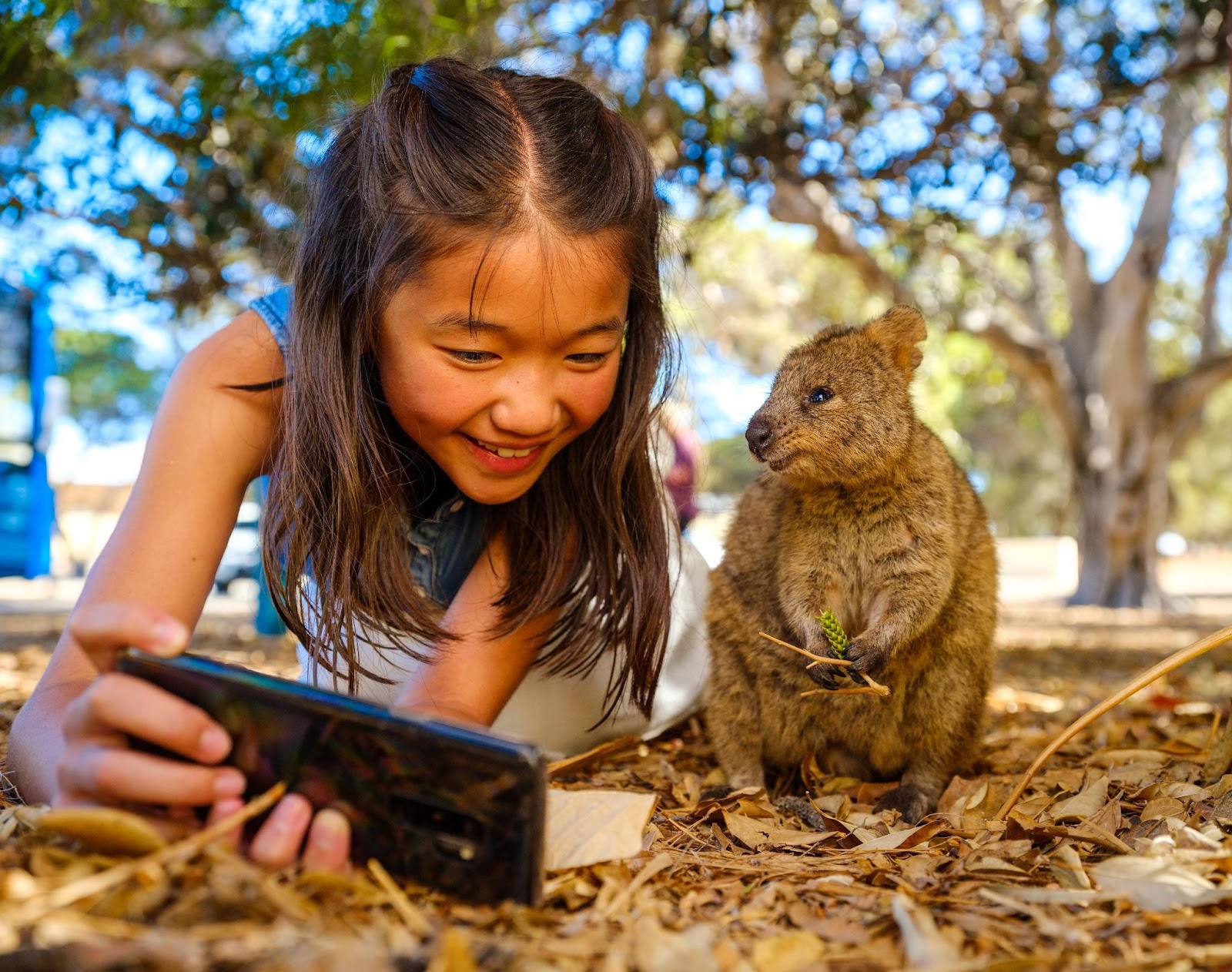 Ini 7 Destinasi Ikonik di Australia Barat yang Harus Masuk dalam Daftar Tujuan Wisata Kamu!