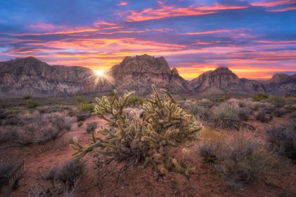 30 Landscapes That Showcase the Power of Nature, powerful landscapes, nature force, nature, forest, landscape, natural scenery, dramatic photos