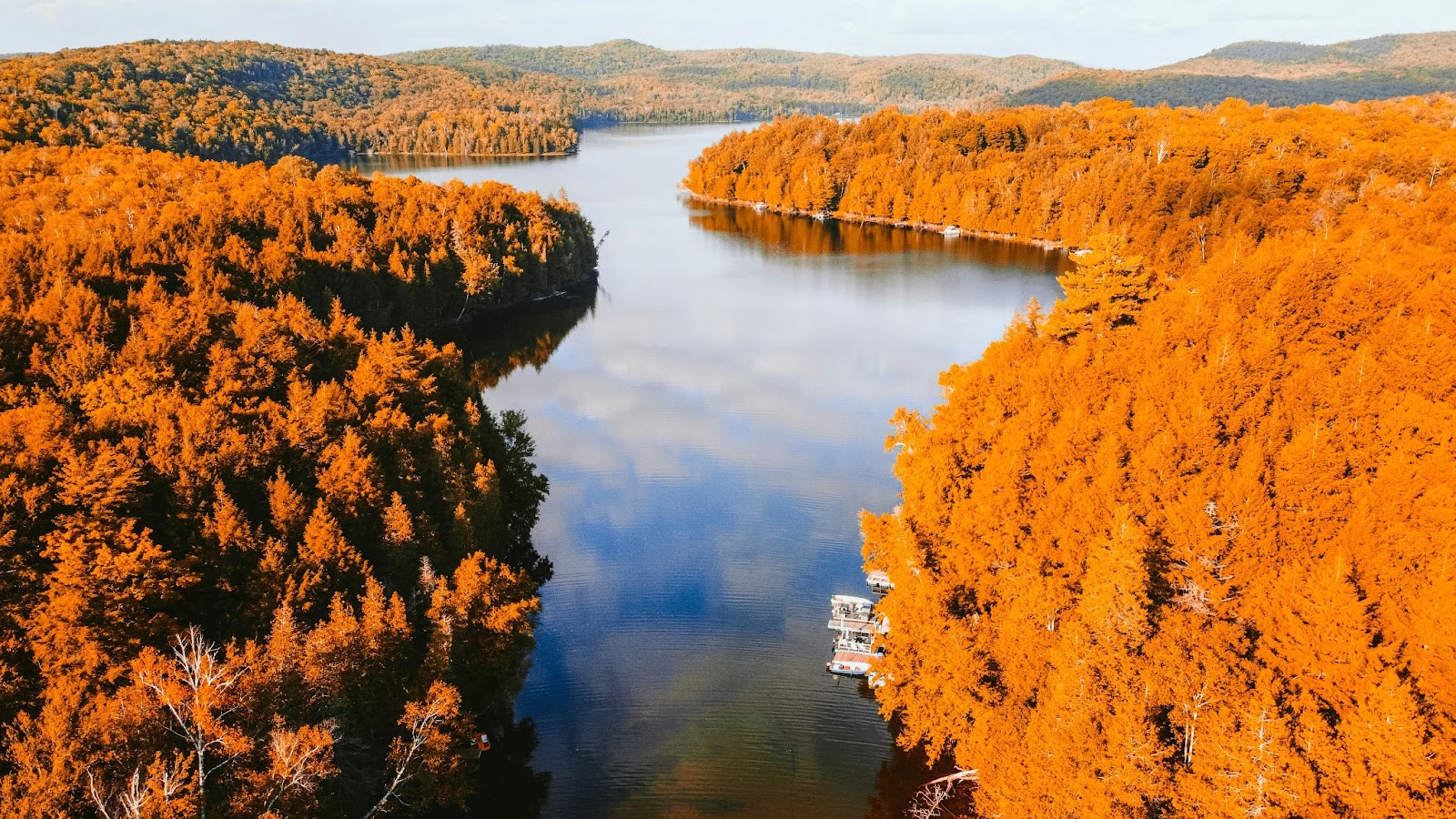 The shoreline of New England where dense forests of sugar maple, birch, and oak trees put on a dazzling display in the fall, their leaves shifting into brilliant shades of ochre, scarlet, and orange.