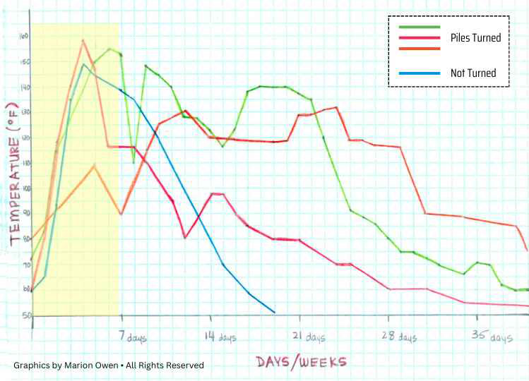  Handdrawn graph displaying "Temperature" in fahrenheit along the vertical Y axis and "days/weeks" along the horizontal X axis. 4 colored lines show the rise and fall of the temperature after time has passed. An emphasis on what happens between days 7 and 14 show that the unturned pile cooled right down while the others stayed hotter for longer.