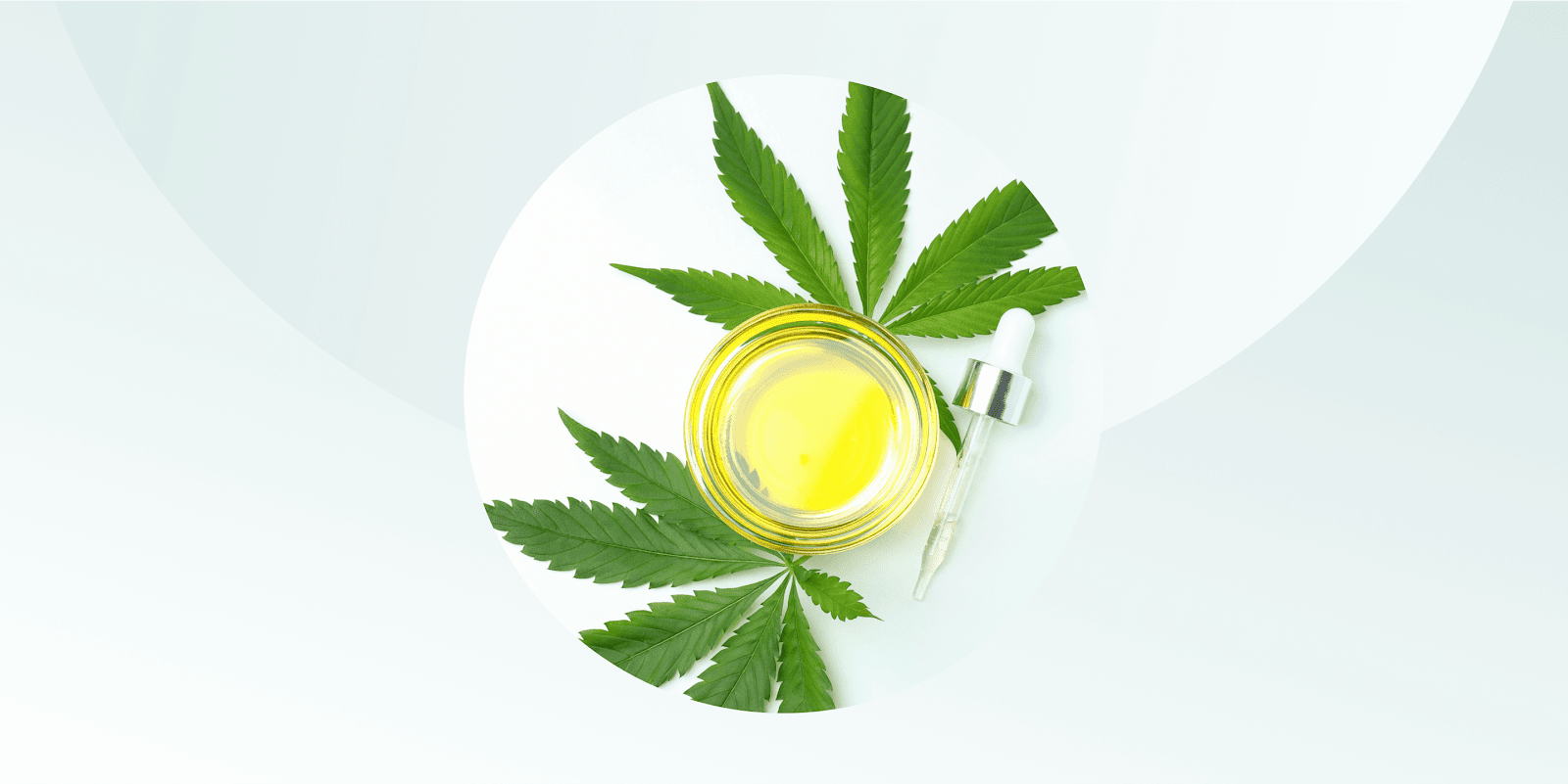 What is Hemp Oil?