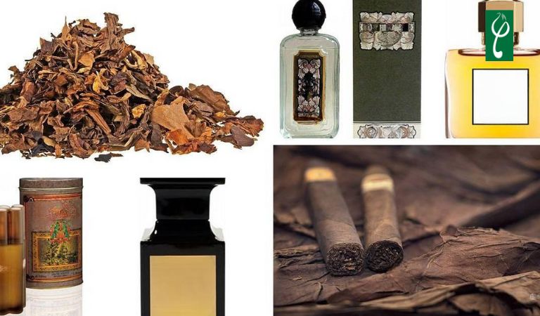 Gia công nước hoa hương thuốc lá tobacco cần chọn nguồn nguyên liệu chất lượng