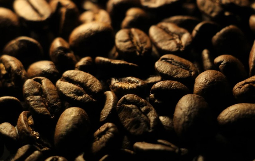 Free Coffee Beans Coffee photo and picture