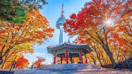 Khám phá sự kỳ diệu của Tháp Namsan: Hướng dẫn du lịch tuyệt vời của bạn  đến địa danh mang tính biểu tượng của Seoul » Agoda: See The World For Less