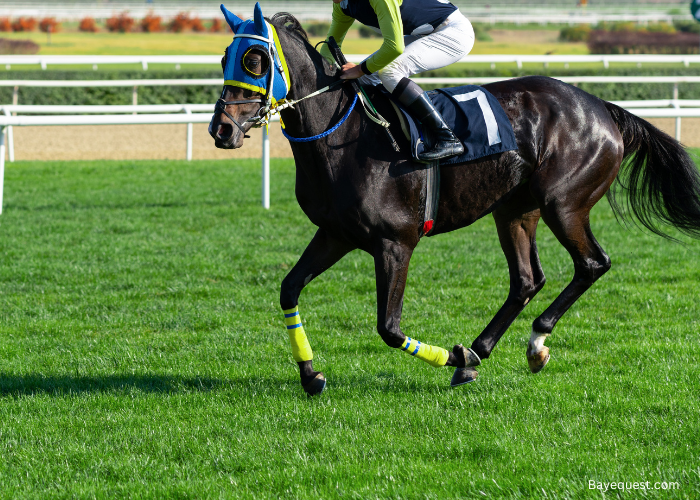 Famous Racehorse Names