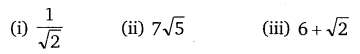 NCERT Solutions for Class 10 Maths Chapter 1 Real Numbers Ex 1.3 Q1