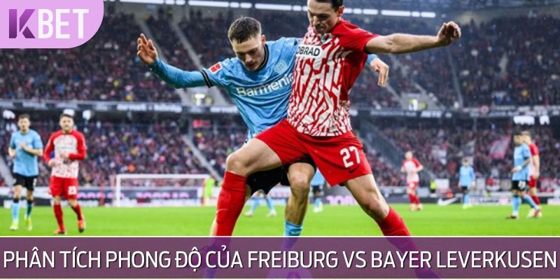 Phân tích phong độ đội bóng để có nhận định chính xác