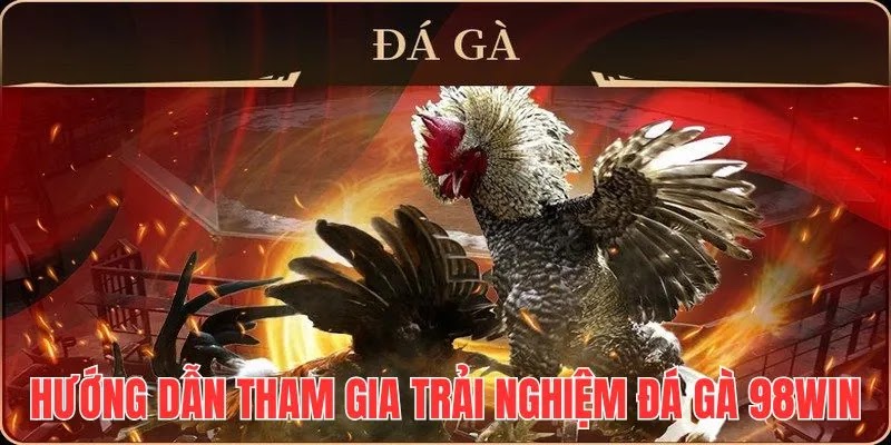 Hướng dẫn 4 bước tham gia trải nghiệm cực nhanh và đơn giản cho người mới 