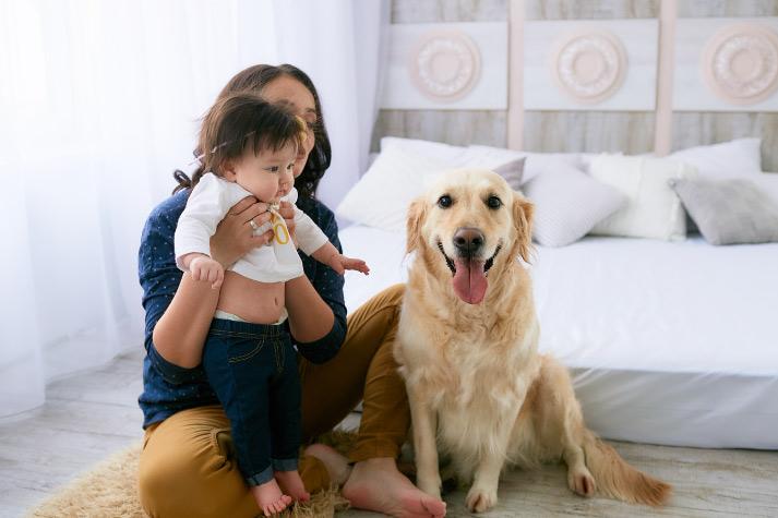 Essential Tips for New Pet Parents