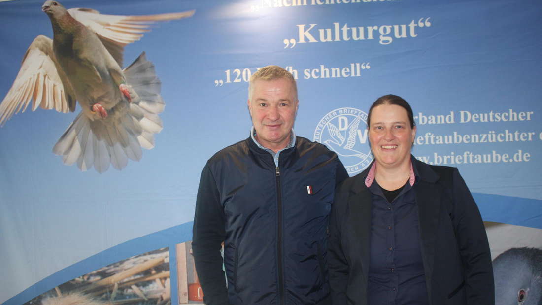 hed_im_brieftauben_051124