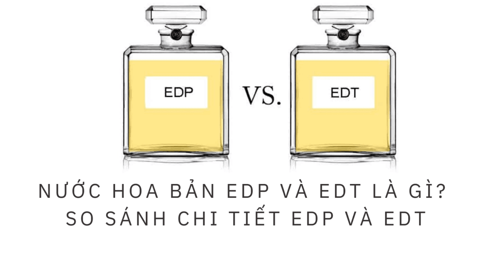 Khác biệt giữa Eau de Toilette và Eau de Parfum cũng cần rất nhiều lưu ý
