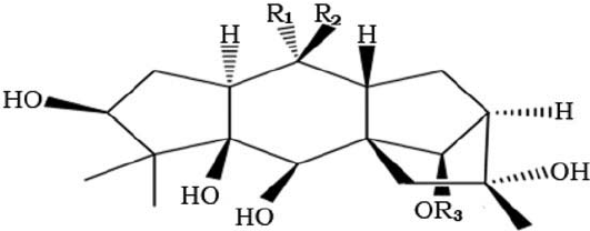 GTX I-II-III の分子構造