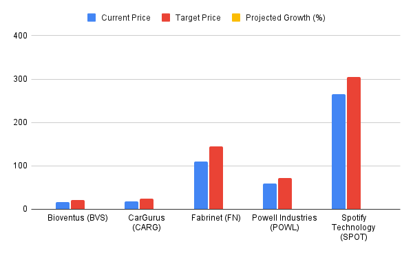 Company Size and Target Price of Top 5 stocks of the month