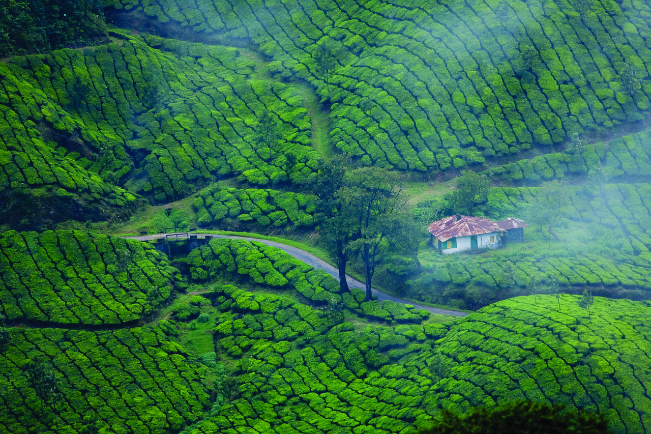 Top 10 Places to Visit in Munnar | Complete Guide