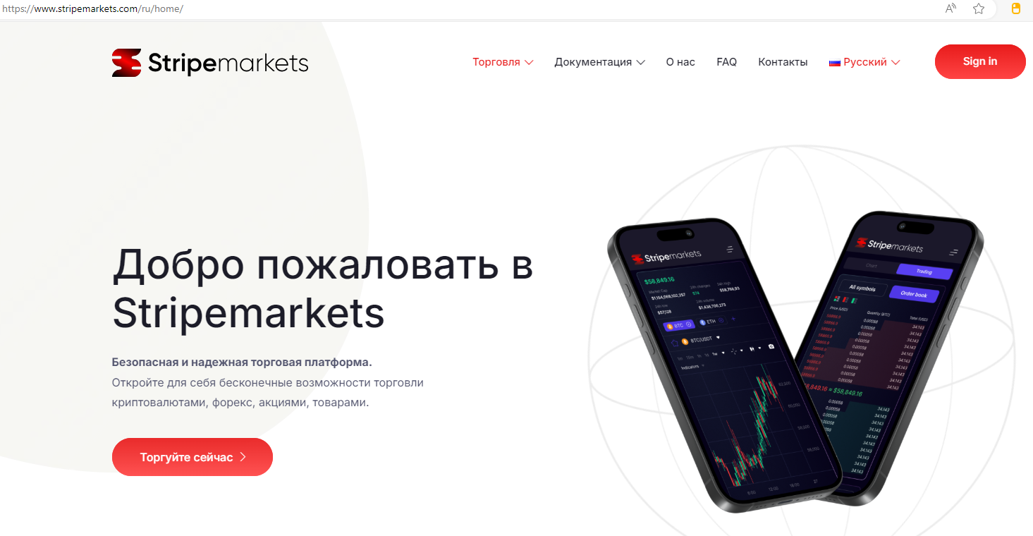 stripemarkets обзор