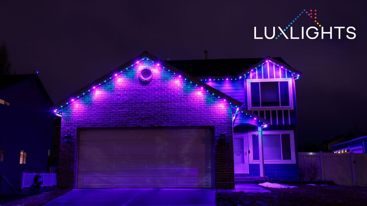 purple and blue permanent Christmas lights