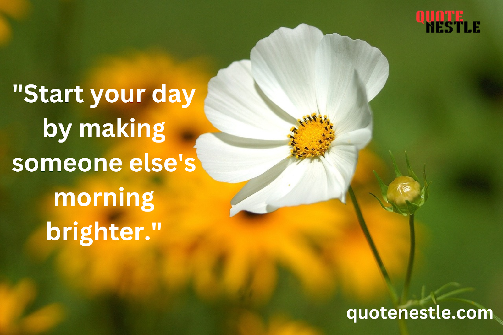 Good Morning Blessings Quotes