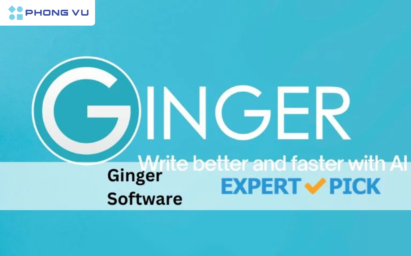 Ginger Software
