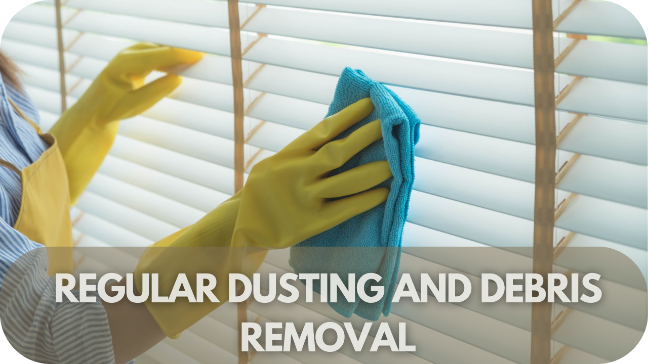 Regular Dusting and Debris Removal