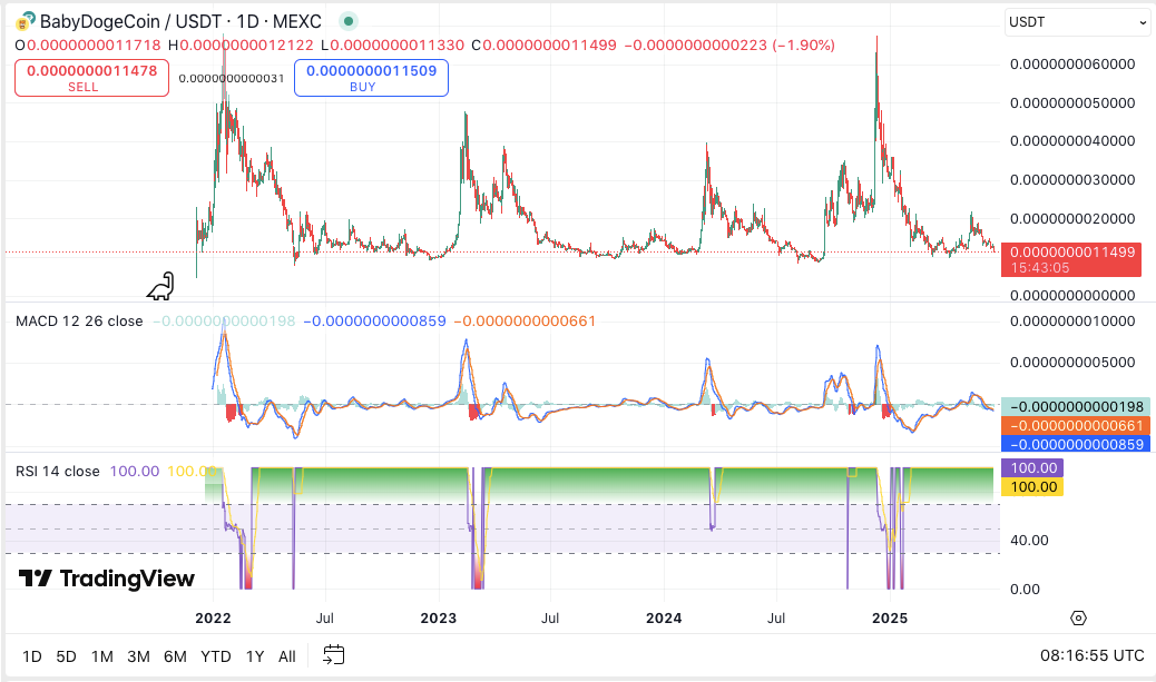 Baby Doge Coin Faces Bearish Outlook Ahead of June 19, 2025: Can It Hold Support?
