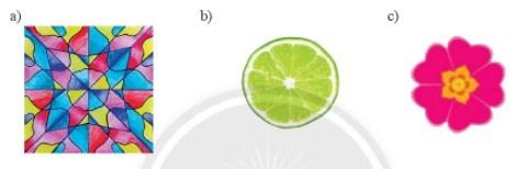 A lime slice with a white background

Description automatically generated