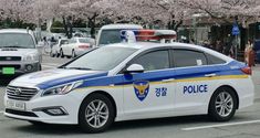 This contain a police car parked in front of cherry blossom trees