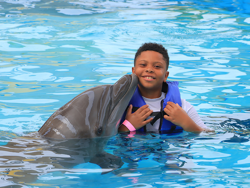 Boy playing with dolphin