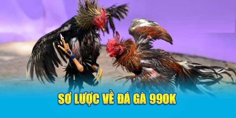 Giới thiệu sảnh game đá gà tại 99ok