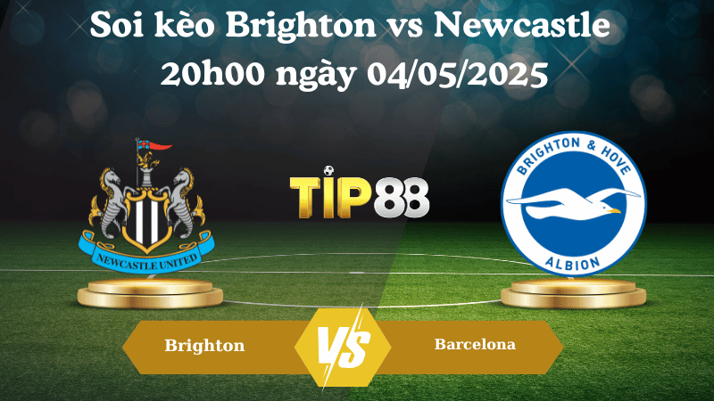Soi kèo Brighton vs Newcastle 20h00 ngày 04/05/2025