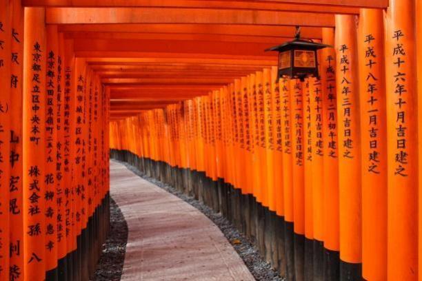 A path with orange pillars with Fushimi Inari-taisha in the background

Description automatically generated