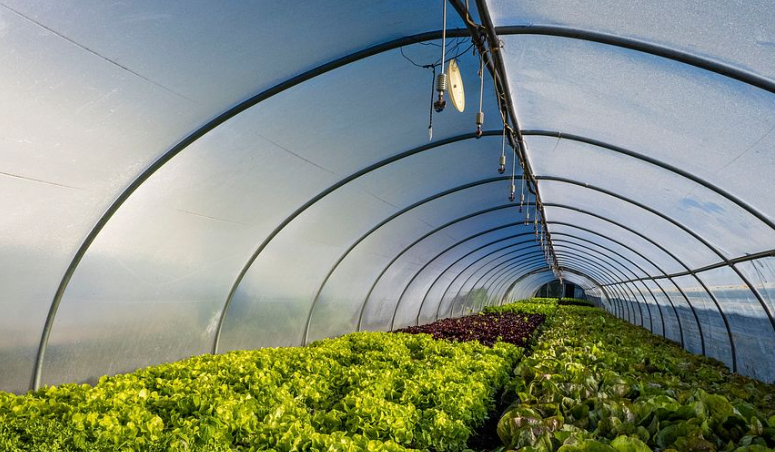 Remote Sensors for Smart Farming