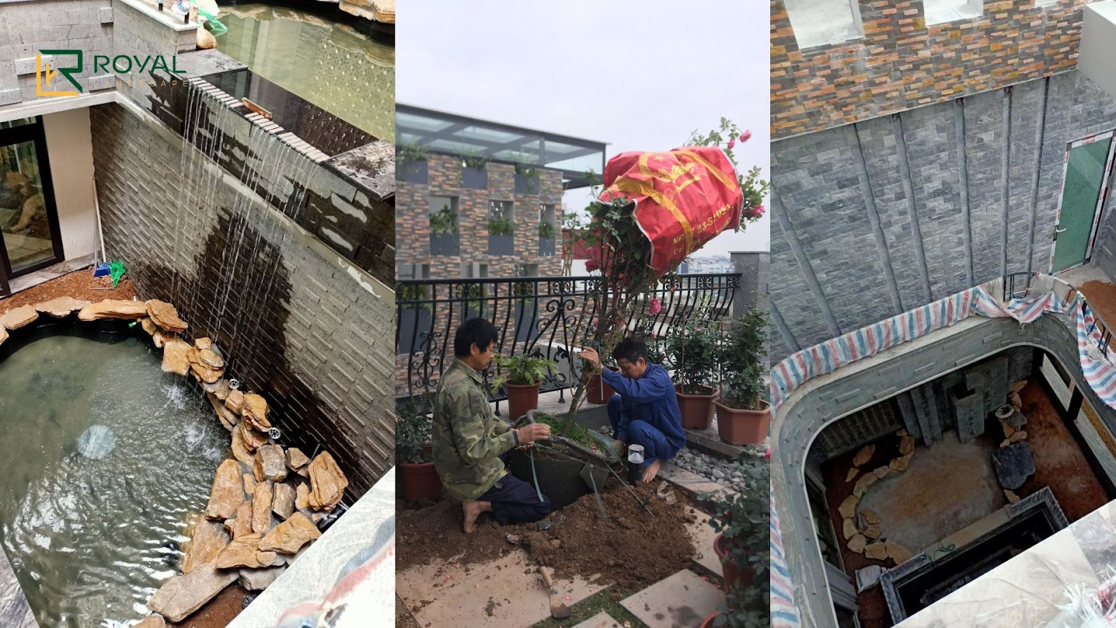 Dự án chị Dương