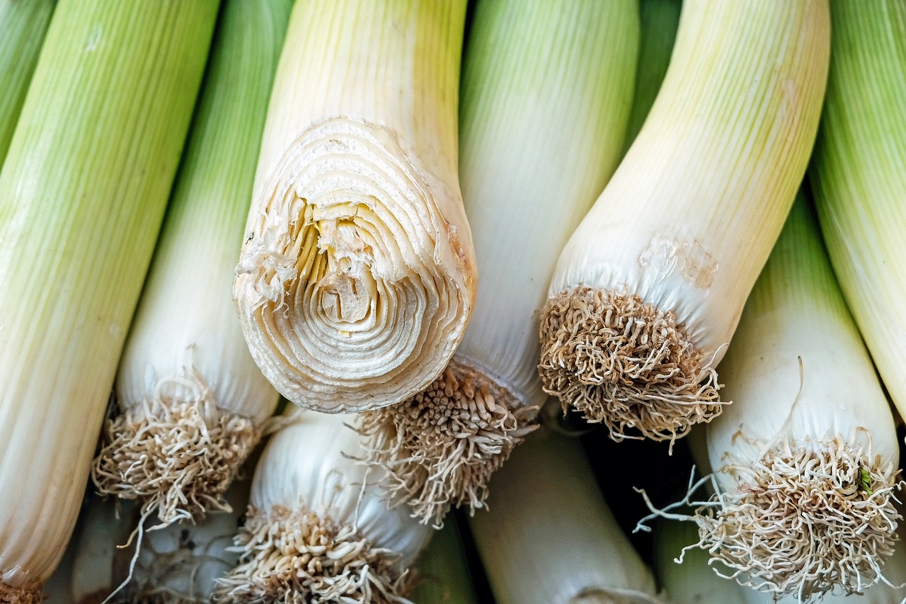 leek vegetable seeds that need stratification