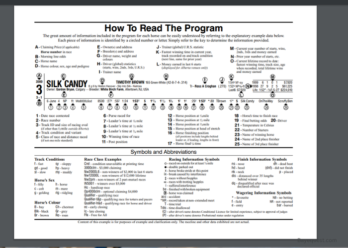 How to Read Horse Racing Program