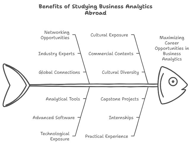 benefits-of-studing-business-analytics-abroad