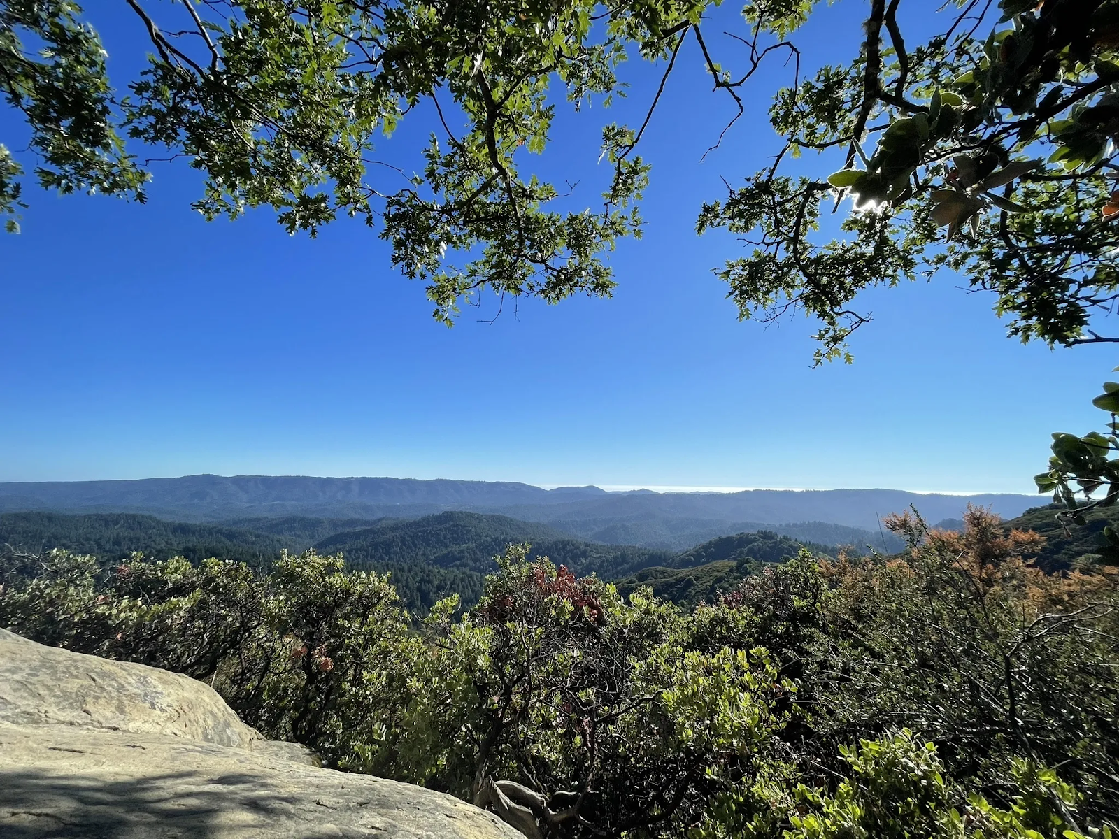 best hikes in the bay area