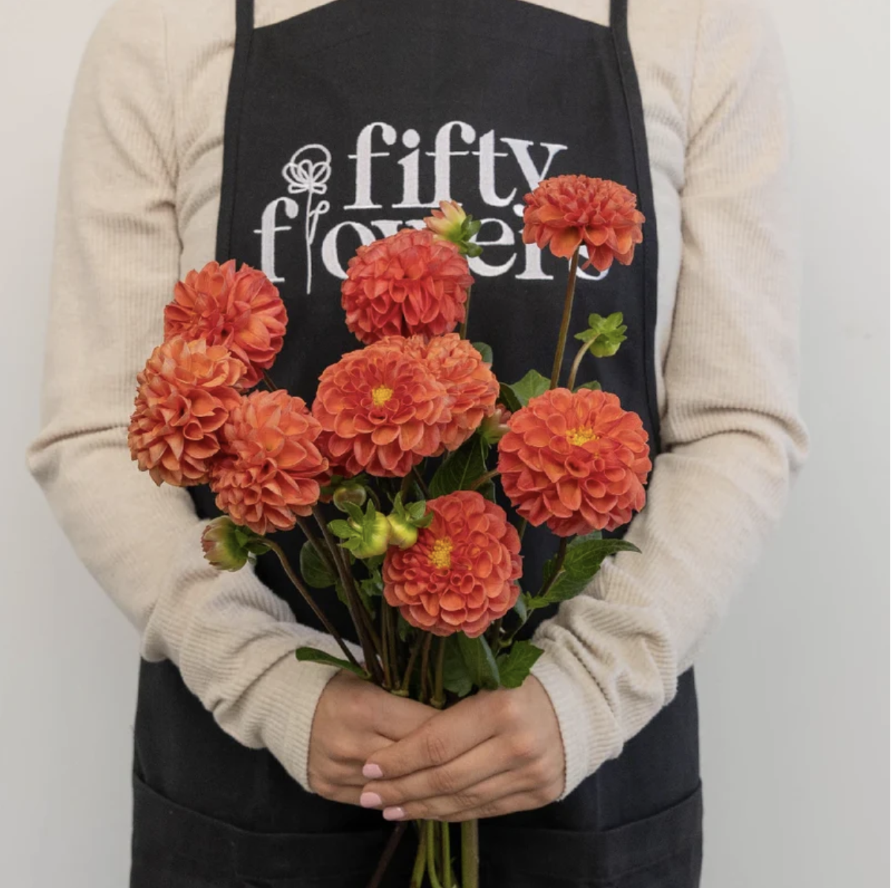 Copper Penny Dahlias